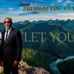 PREMIUM EMF - LET YOU GO || MOREMUSIC